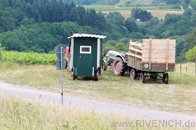 Mittsommerfest 2017 – Bild 118